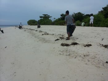 Beach Cleaning