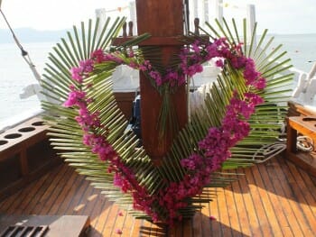 IMG_6462 (2)