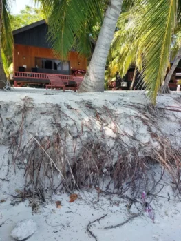 Beach Erosion