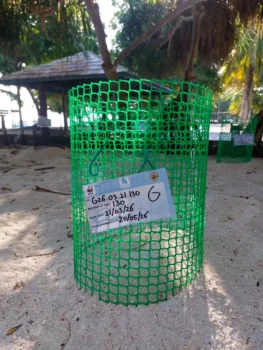 Guest Sponsored Hatchery